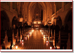 Rorate-24-1